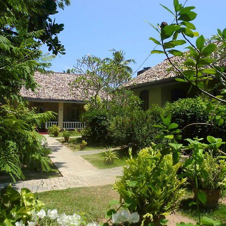 Top Of The Hill Guesthouse Weligama Kültér fotó
