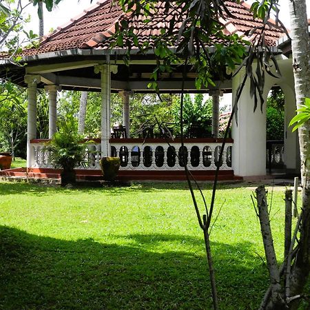 Top Of The Hill Guesthouse Weligama Kültér fotó