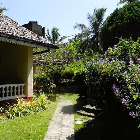 Top Of The Hill Guesthouse Weligama Kültér fotó