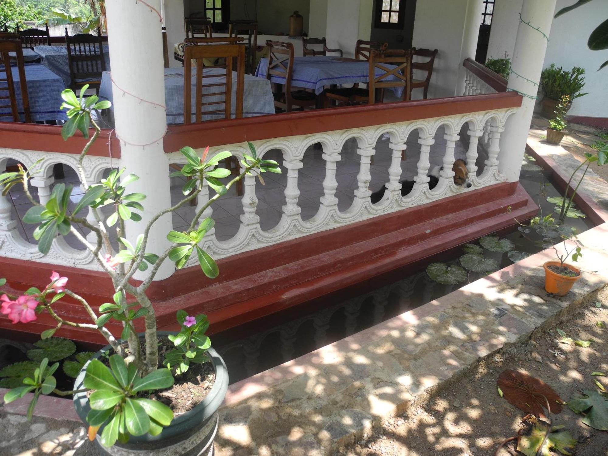 Top Of The Hill Guesthouse Weligama Kültér fotó