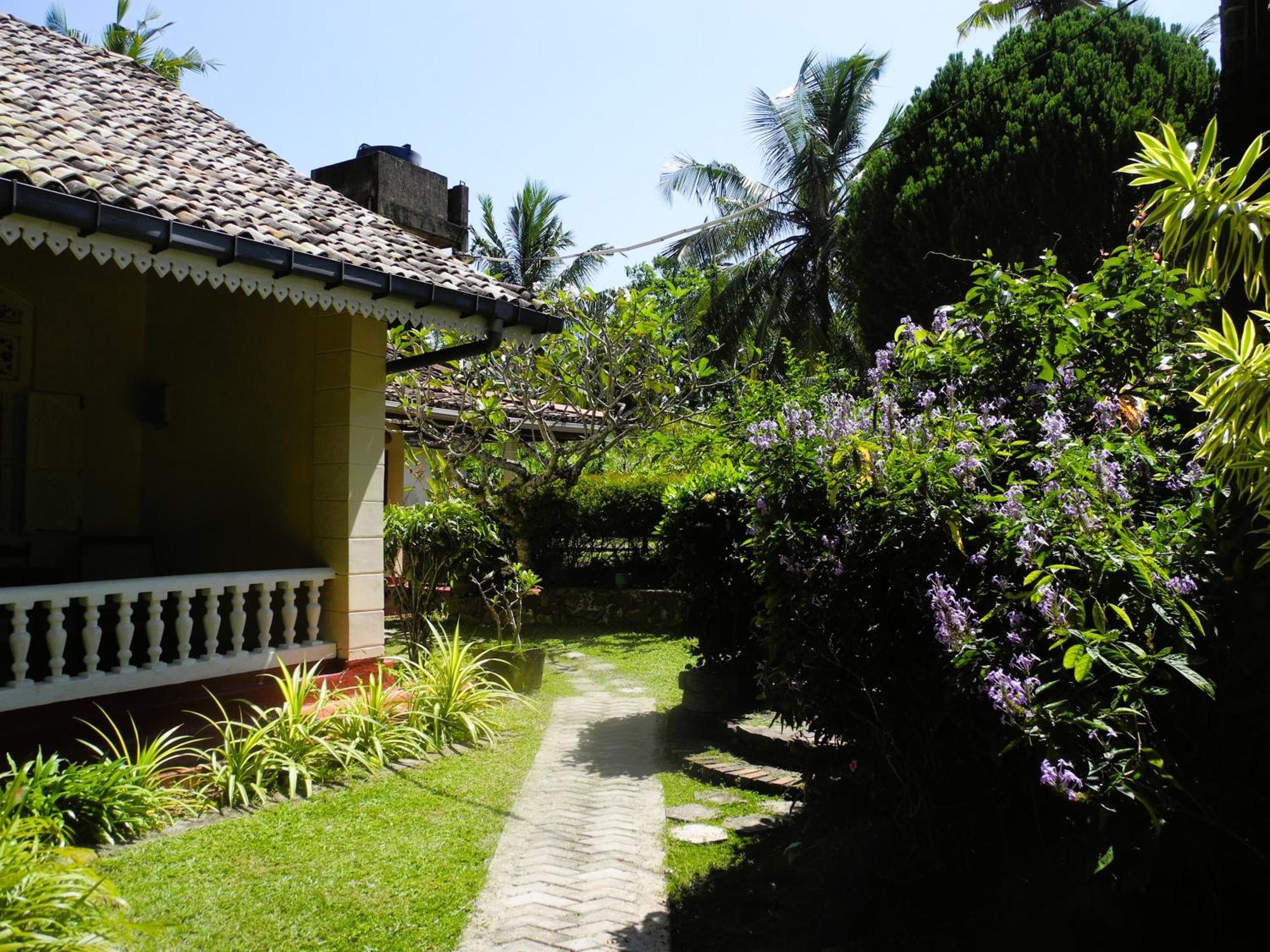 Top Of The Hill Guesthouse Weligama Kültér fotó